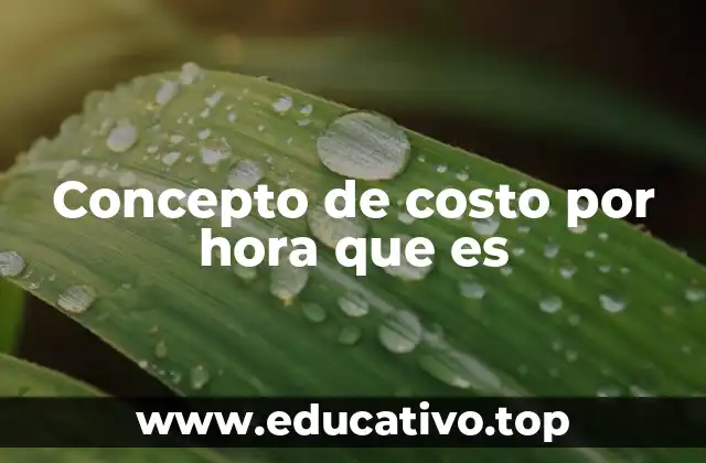 Concepto de costo por hora que es