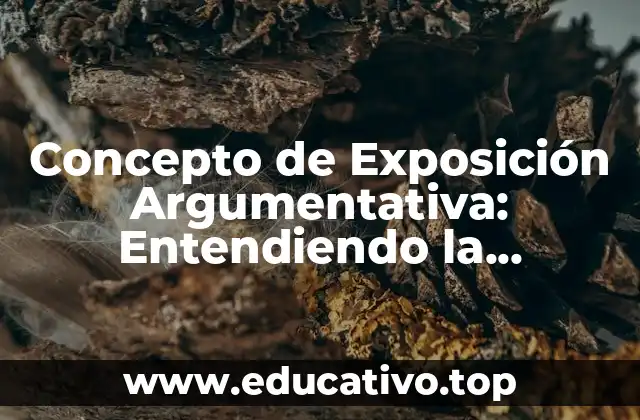 Concepto de Exposición Argumentativa: Entendiendo la Estructura y la Eficacia