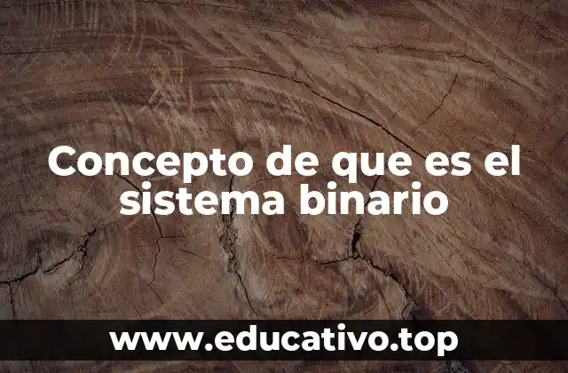 Concepto de que es el sistema binario