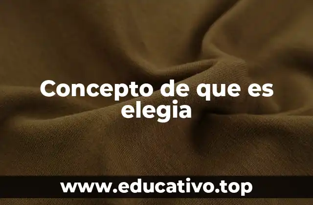 Concepto de que es elegia