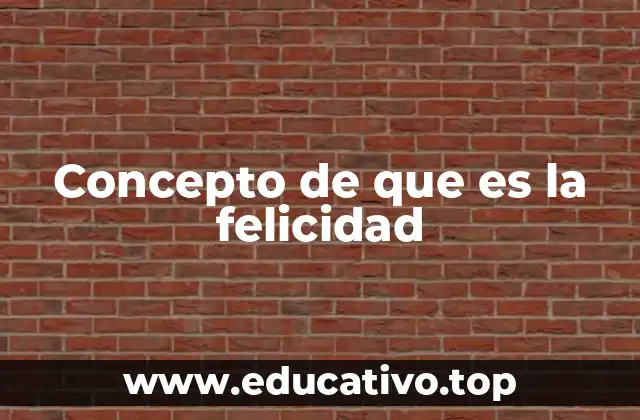 Concepto de que es la felicidad