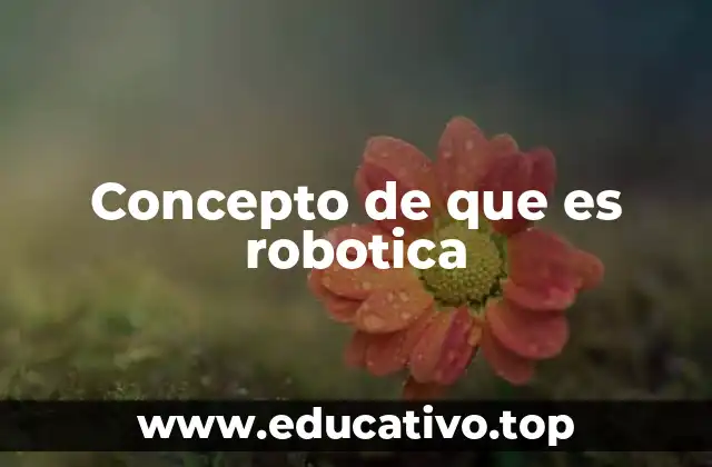Concepto de que es robotica