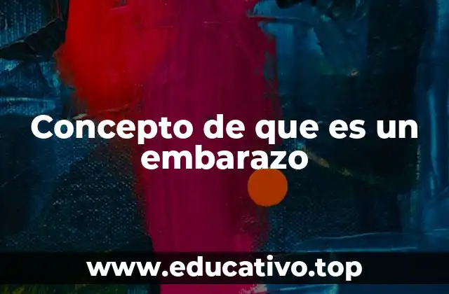 Concepto de que es un embarazo