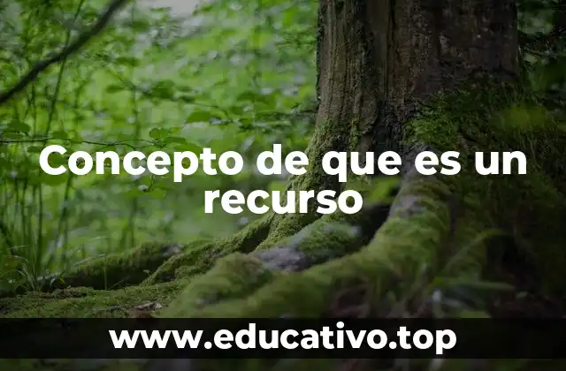 Concepto de que es un recurso