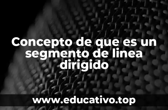Concepto de que es un segmento de linea dirigido