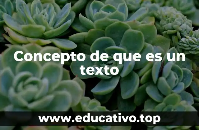 Concepto de que es un texto
