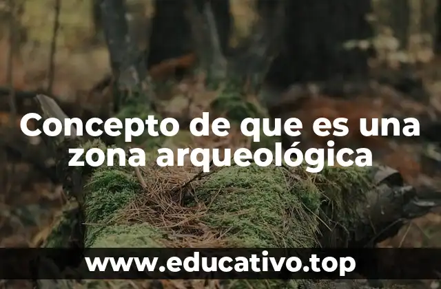 Concepto de que es una zona arqueológica