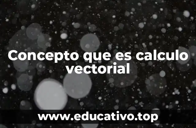 Concepto que es calculo vectorial