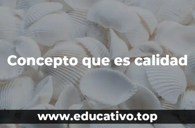 Concepto que es calidad