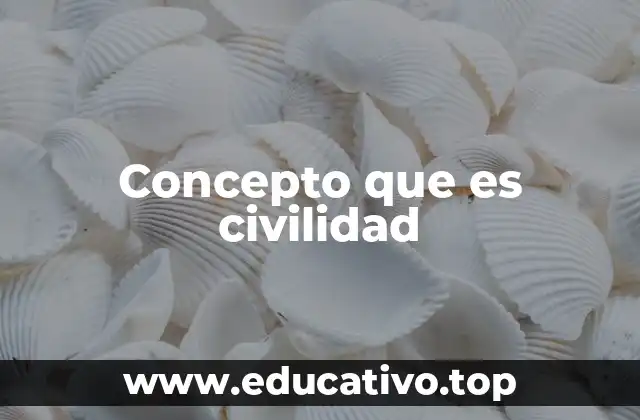 Concepto que es civilidad