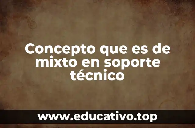 Concepto que es de mixto en soporte técnico