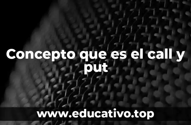 Concepto que es el call y put