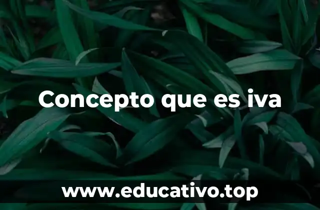 Concepto que es iva