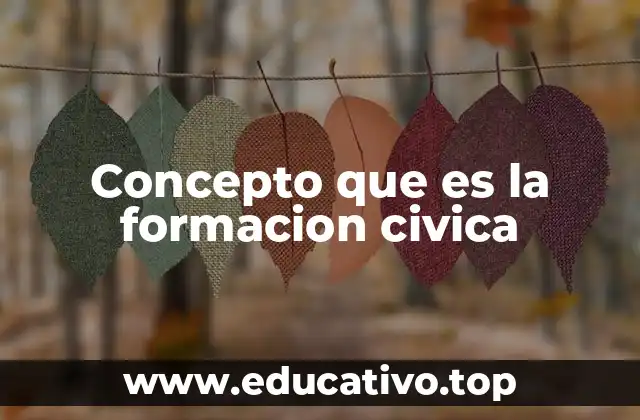 Concepto que es la formacion civica