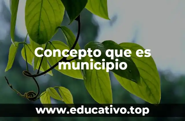 Concepto que es municipio