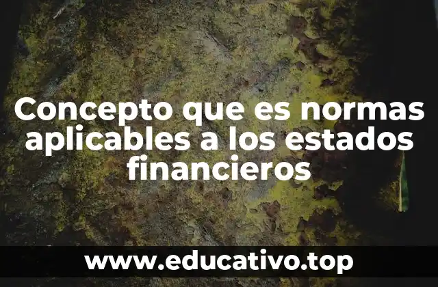 Concepto que es normas aplicables a los estados financieros