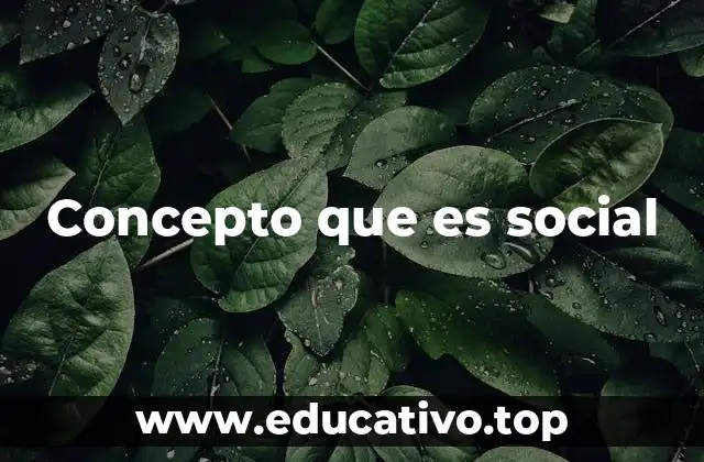 Concepto que es social