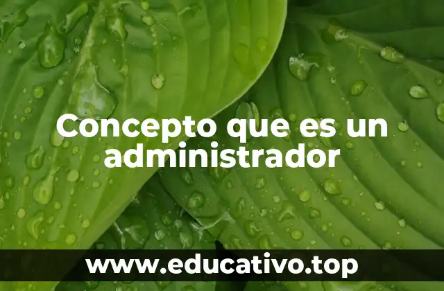 Concepto que es un administrador