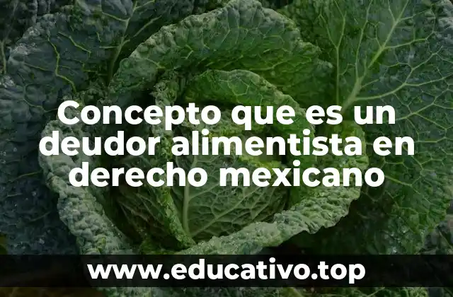 Concepto que es un deudor alimentista en derecho mexicano