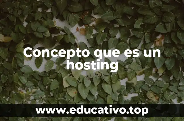 Concepto que es un hosting
