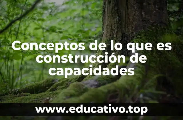 Conceptos de lo que es construcción de capacidades