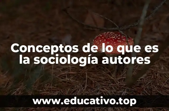 Conceptos de lo que es la sociología autores