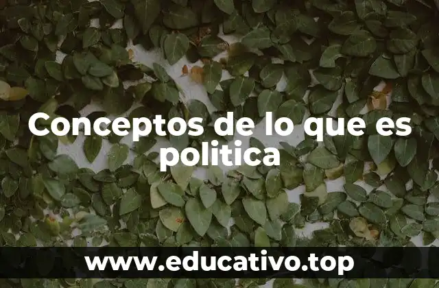 Conceptos de lo que es politica