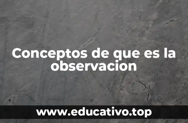Conceptos de que es la observacion