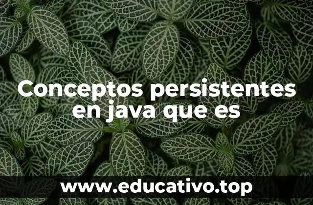 Conceptos persistentes en java que es