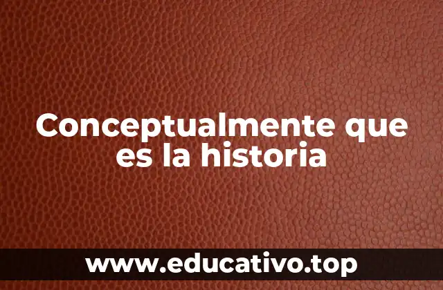 Conceptualmente que es la historia
