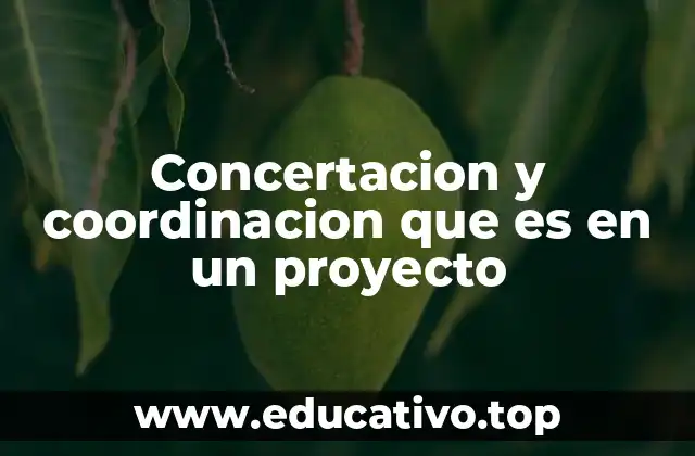 Concertacion y coordinacion que es en un proyecto