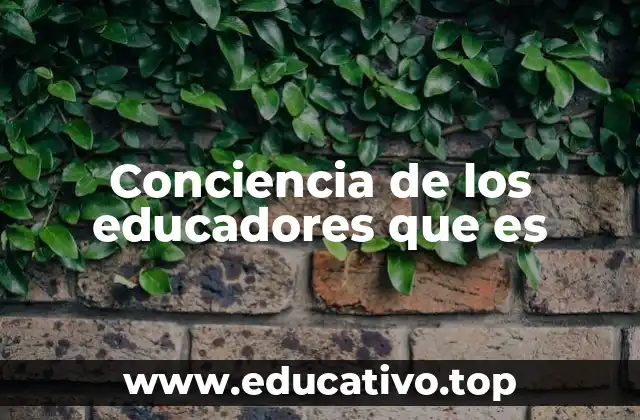 Conciencia de los educadores que es