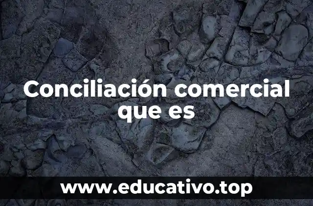 Cómo se estructura el proceso de conciliación