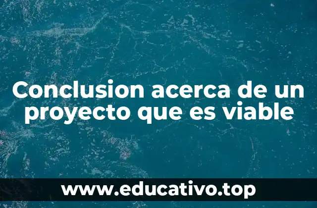 Conclusion acerca de un proyecto que es viable