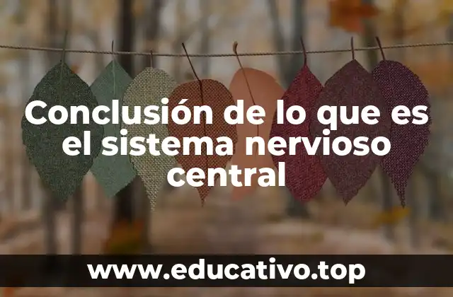 Conclusión de lo que es el sistema nervioso central