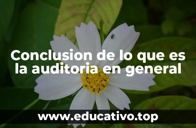 Conclusion de lo que es la auditoria en general