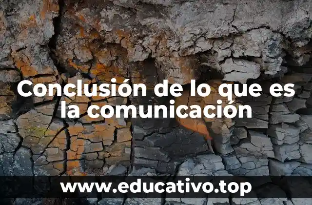 Conclusión de lo que es la comunicación