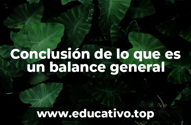 Conclusión de lo que es un balance general