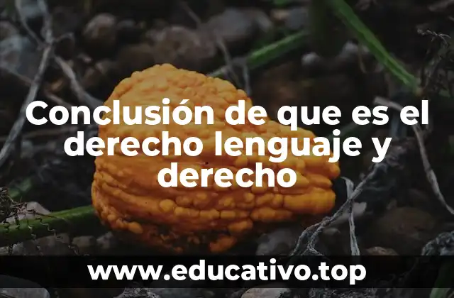 Conclusión de que es el derecho lenguaje y derecho