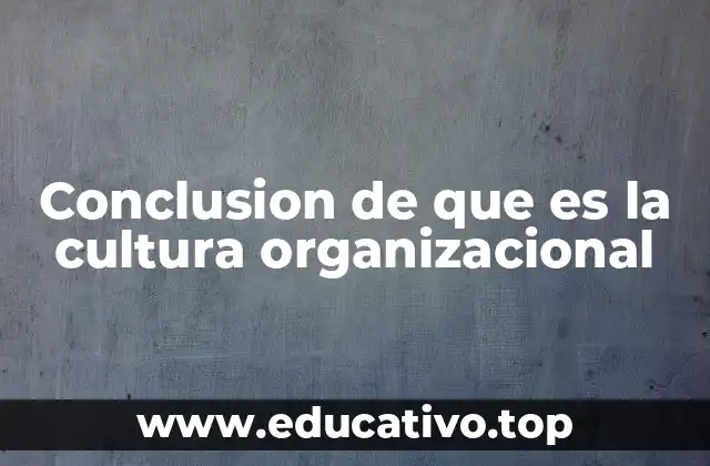 Conclusion de que es la cultura organizacional