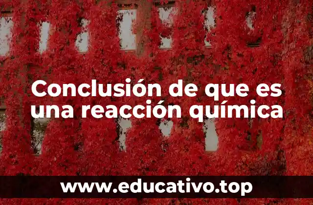 Conclusión de que es una reacción química