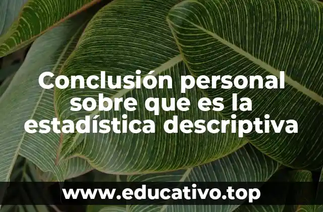 Conclusión personal sobre que es la estadística descriptiva