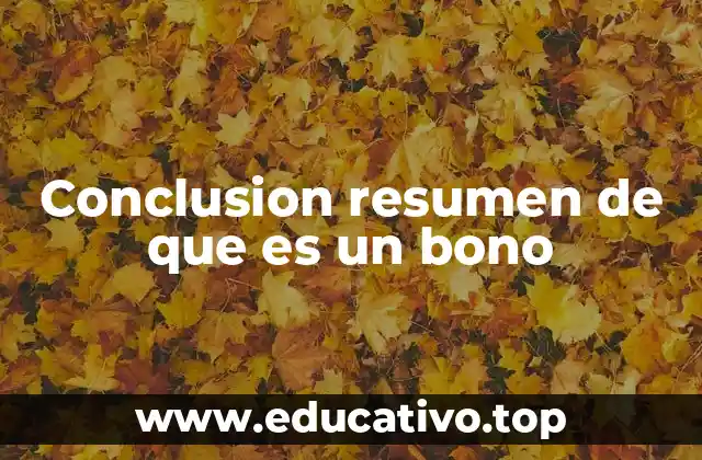 Conclusion resumen de que es un bono