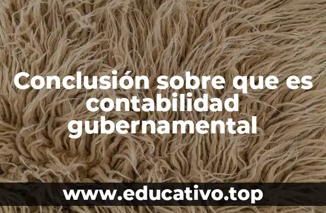 Conclusión sobre que es contabilidad gubernamental