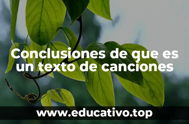 Conclusiones de que es un texto de canciones
