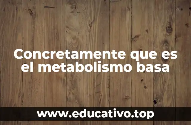 Concretamente que es el metabolismo basa
