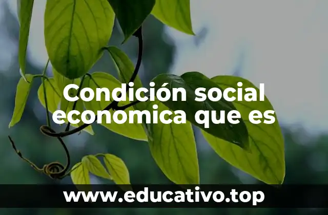 Condición social economica que es