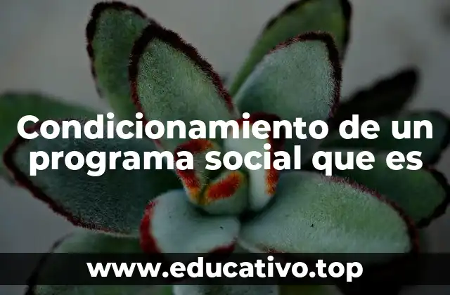 Condicionamiento de un programa social que es