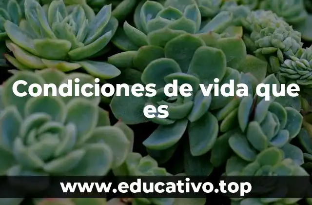 Condiciones de vida que es