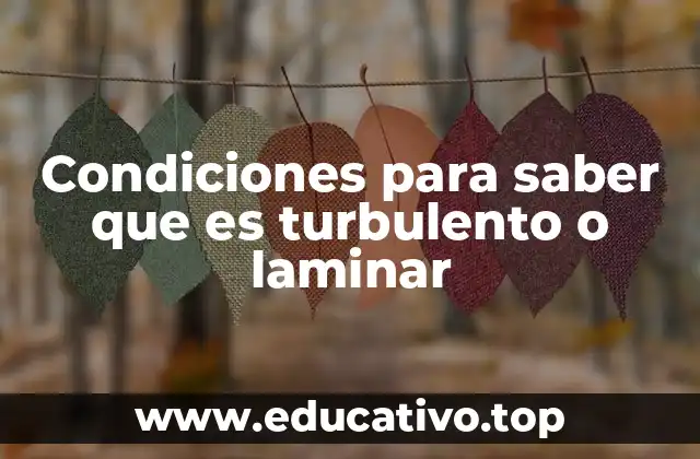 Condiciones para saber que es turbulento o laminar